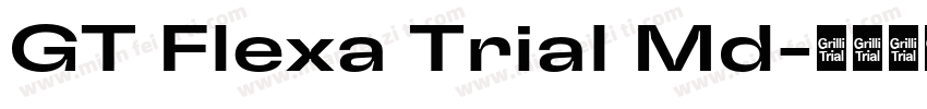 GT Flexa Trial Md字体转换